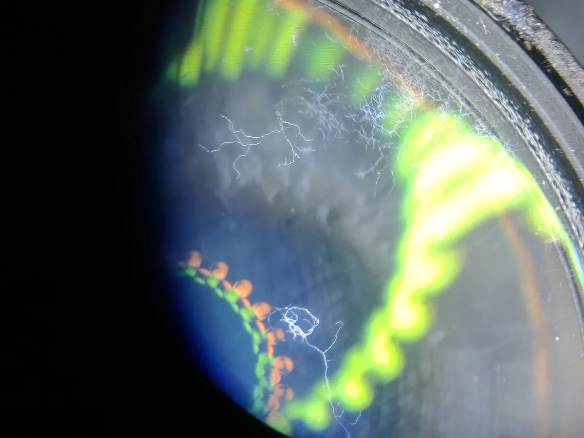 Zoom complejo a los hongos en el lente
